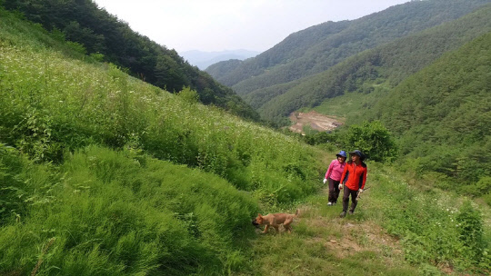 EBS는 5일 밤 9시30분 방송하는 '한국기행'에서 오지의 여름을 찾아 떠난다고 밝혔다.   EBS 제공